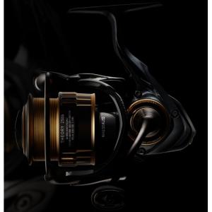 Катушка Daiwa 17 THEORY 2506H