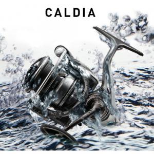 Катушка Daiwa 18 CALDIA LT 2500-XH