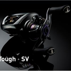 DAIWA 2019 STEEZ CT SV TW (Compact + Tough + SV) G1 SV Spool 