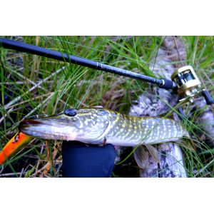 Кастинговое удилище SHIMANO Yasei Pike Casting 2,50м 40-100g