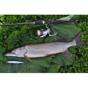 Катушка SHIMANO STRADIC 1000 FK