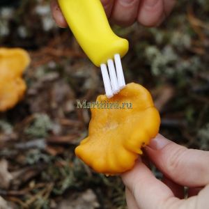 Нож Marttiini Mushroom knive (грибной) (6,5см) 